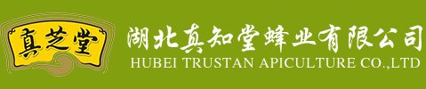 湖北真知堂蜂业有限公司
